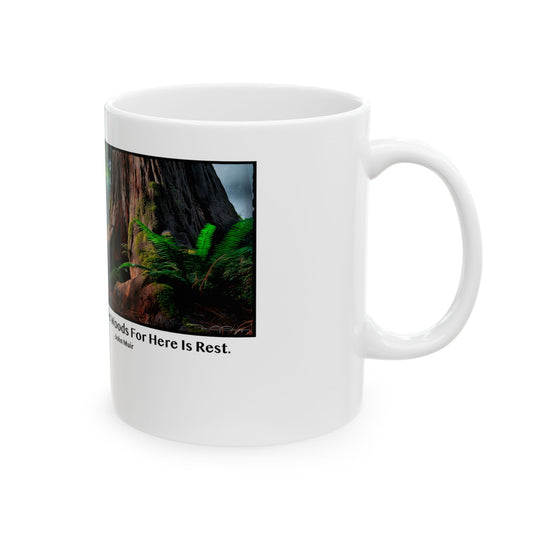 Come To The Woods For Here Is Rest