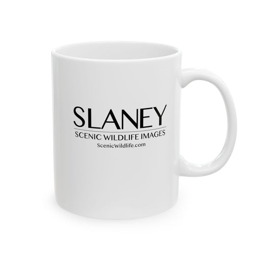 Slaney Scenic Wildlife Images