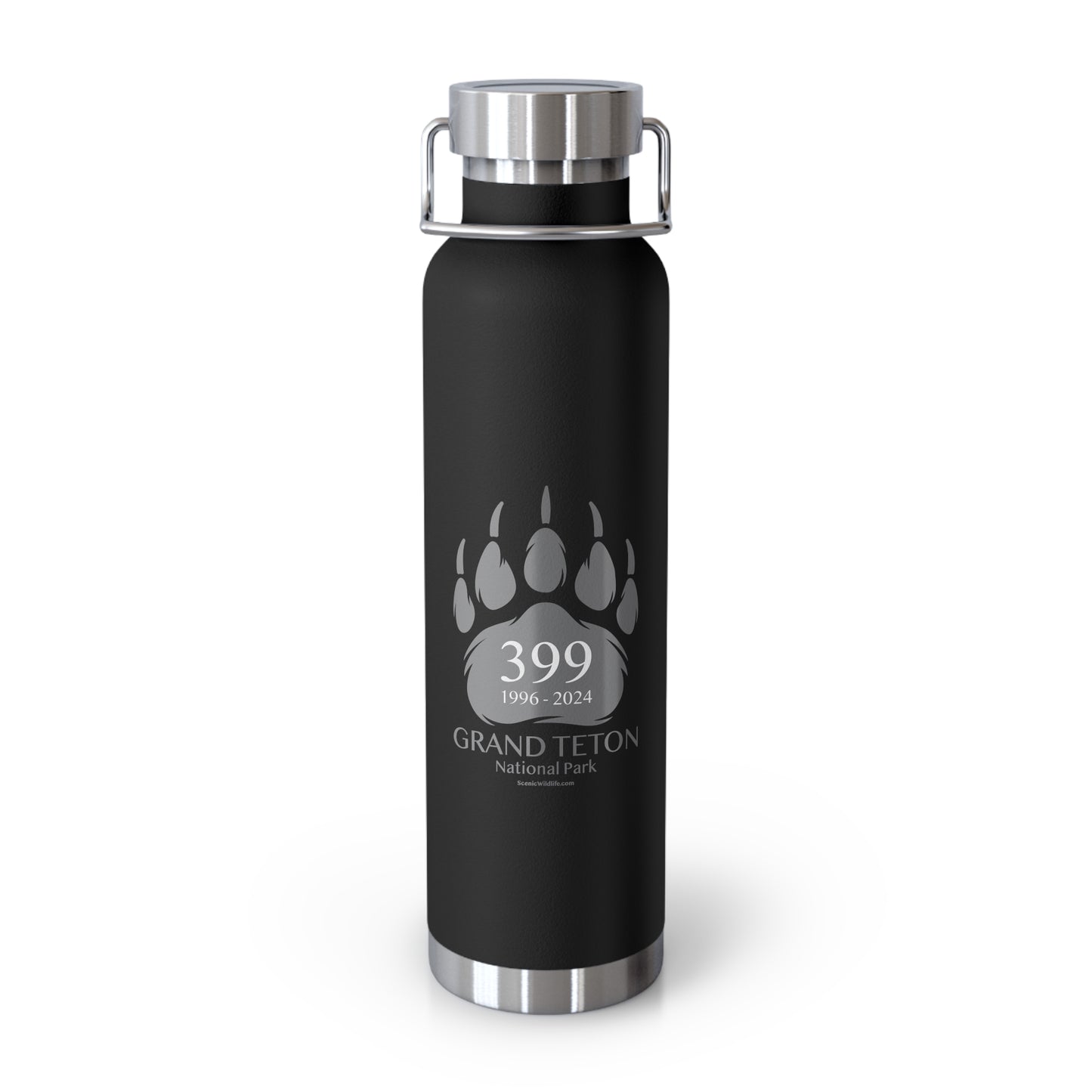 399 Grand Teton Paw