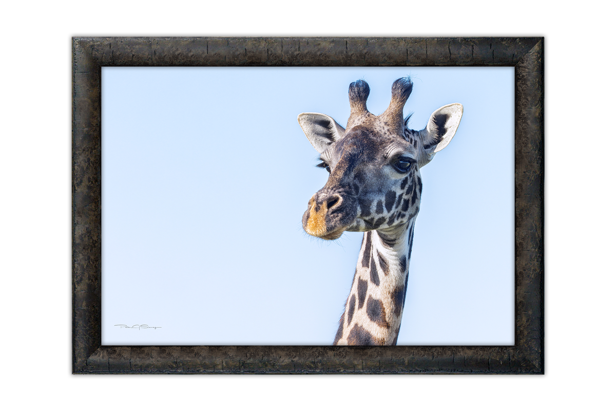 Eyes Over Africa
