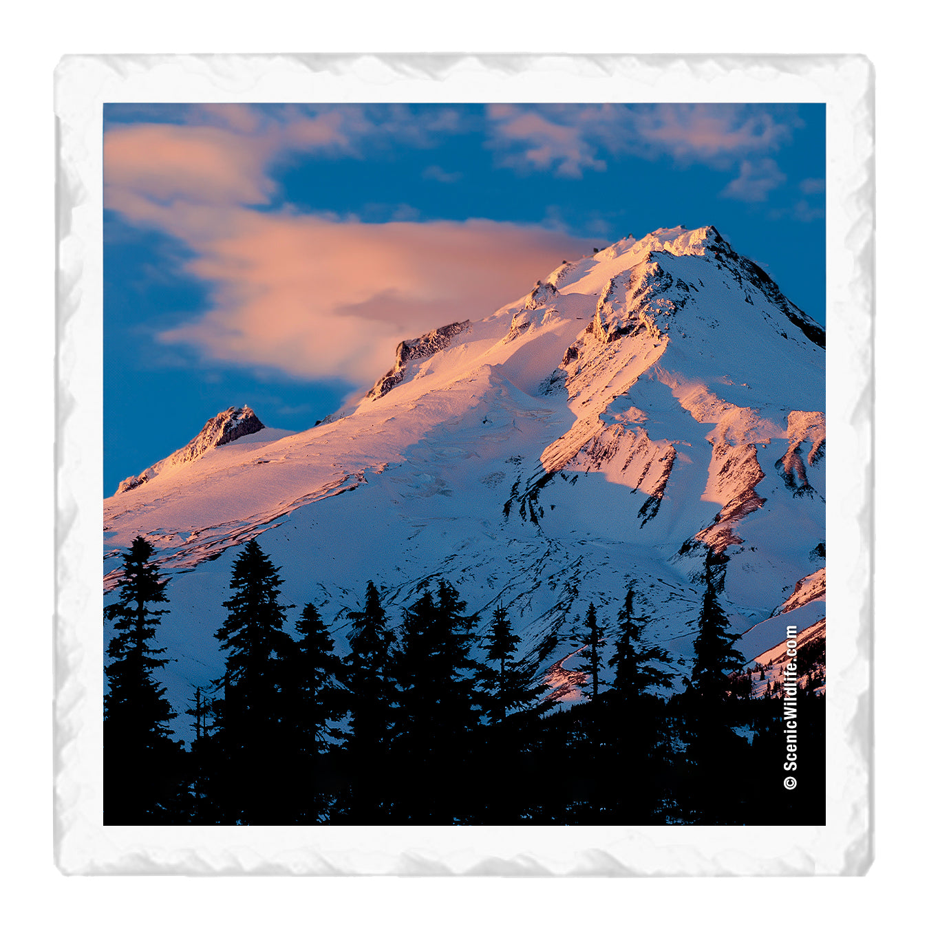 Oregon Thirstystone® Coaster Set