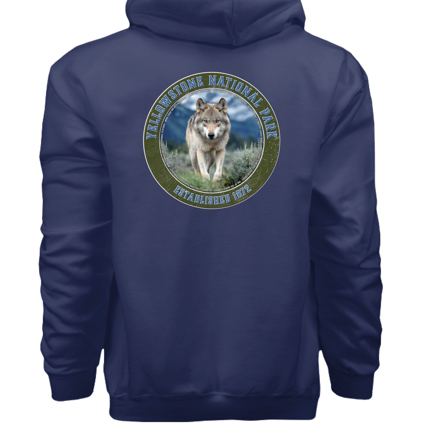 NAVY - BACK