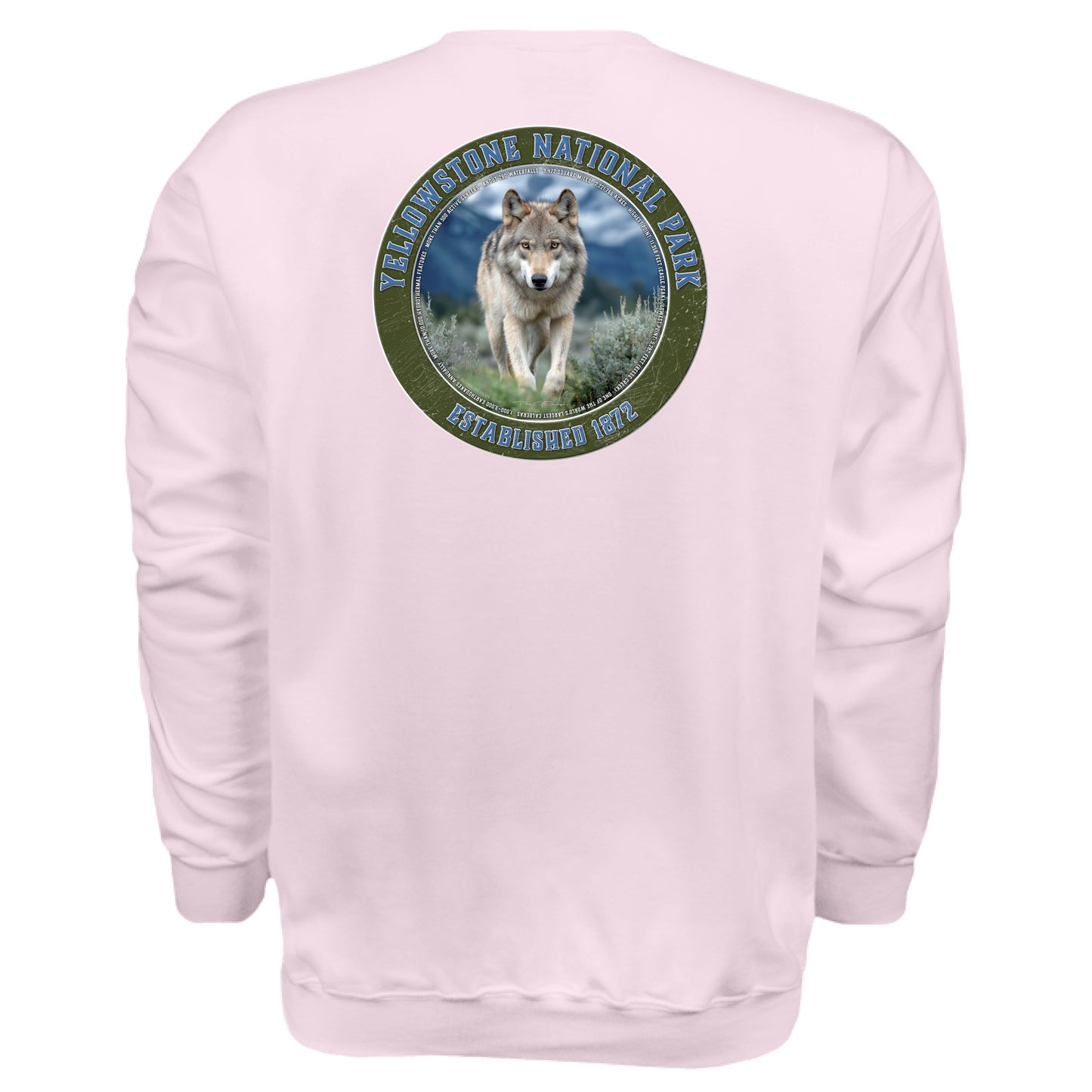 Pale Pink - BACK