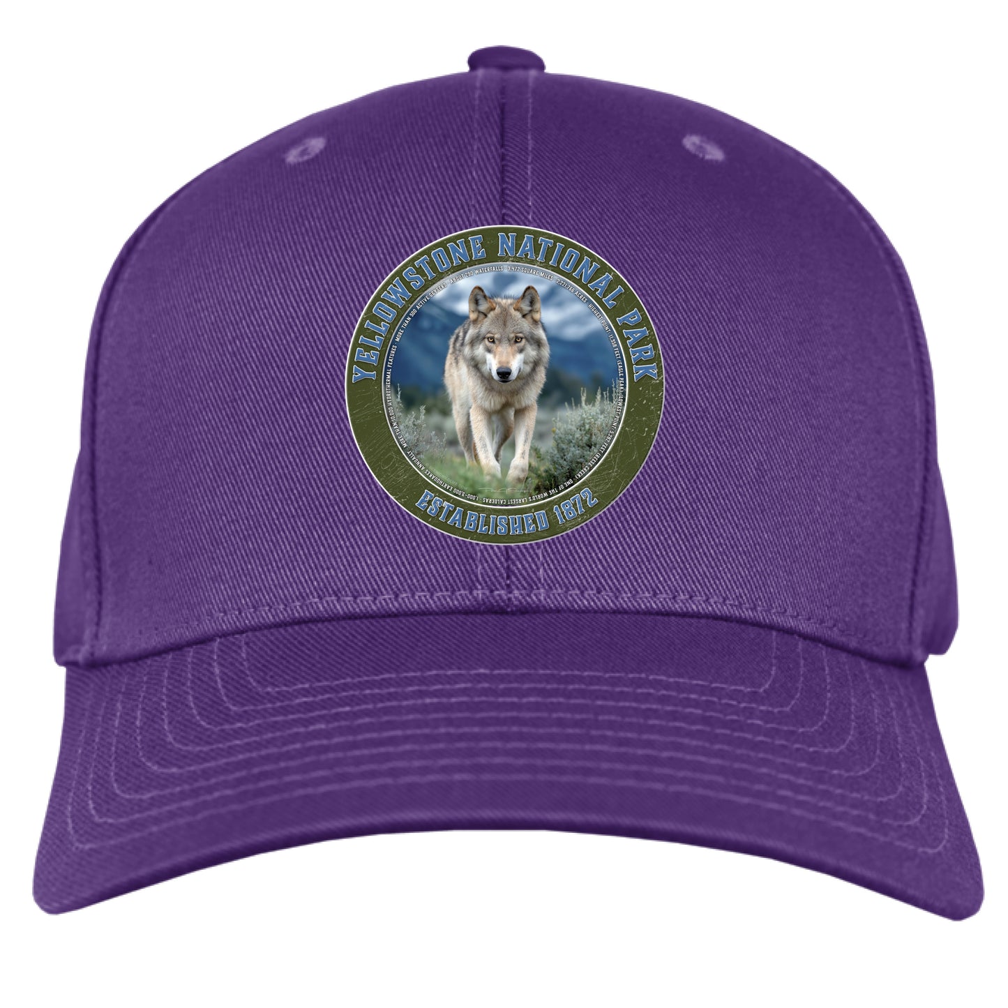 PURPLE - FRONT