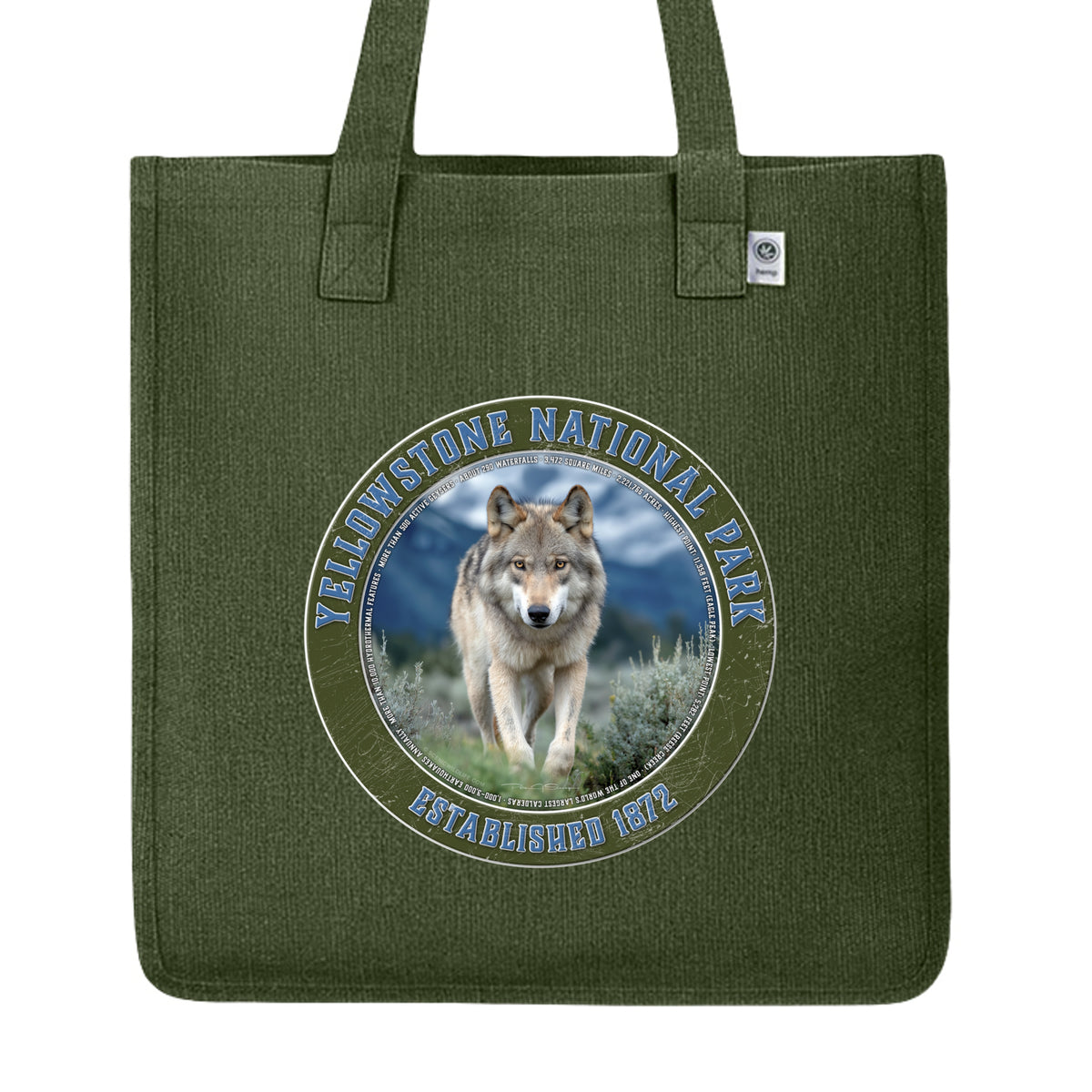 OLIVE - EC8015 - FRONT