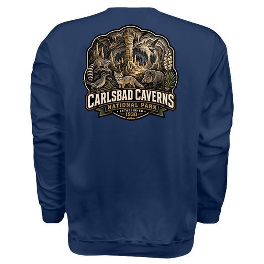 NAVY - F260 - BACK