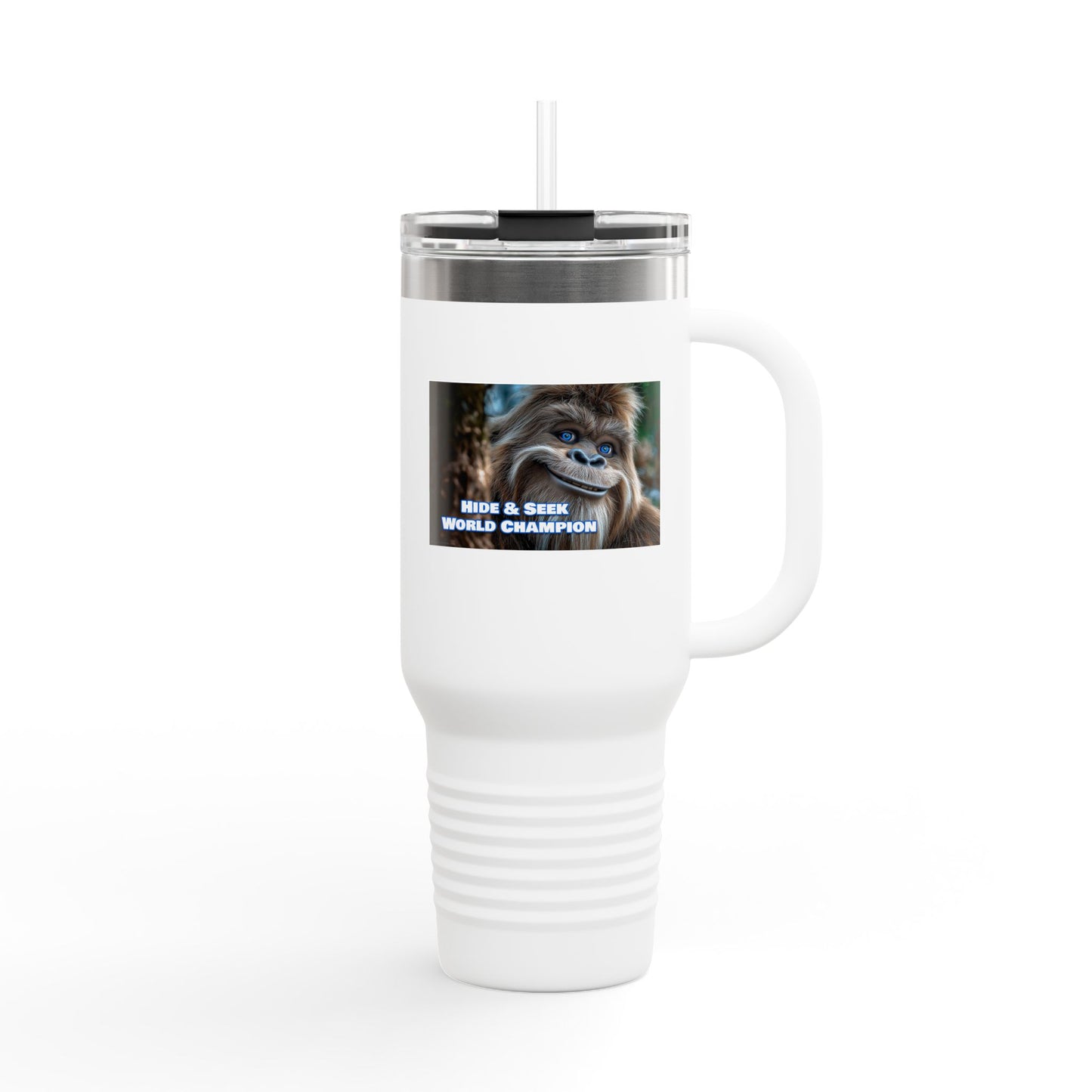 Hide & Seek World Champion