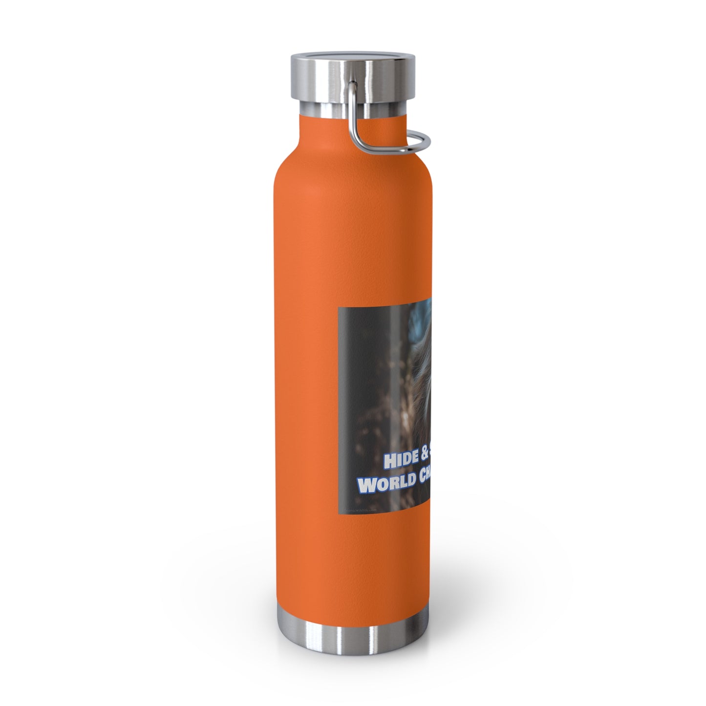 Hide & Seek World Champion