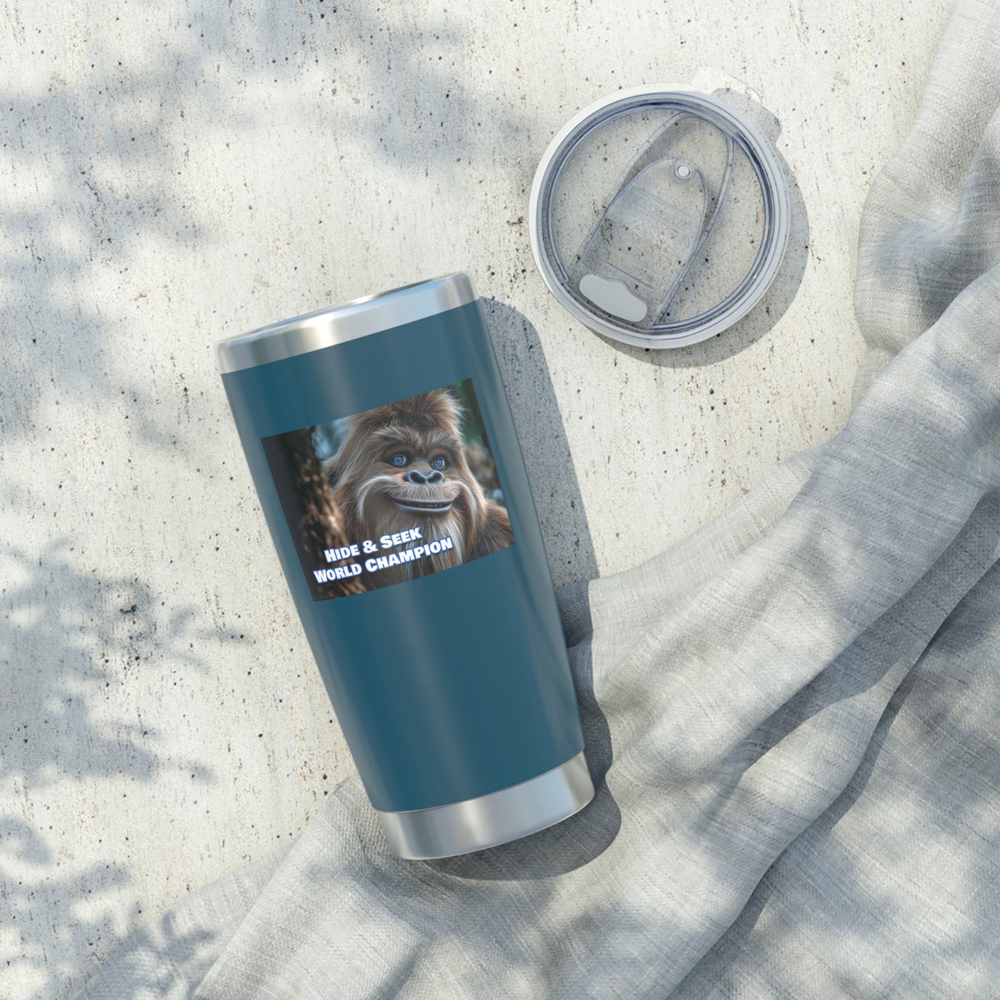 Hide & Seek World Champion