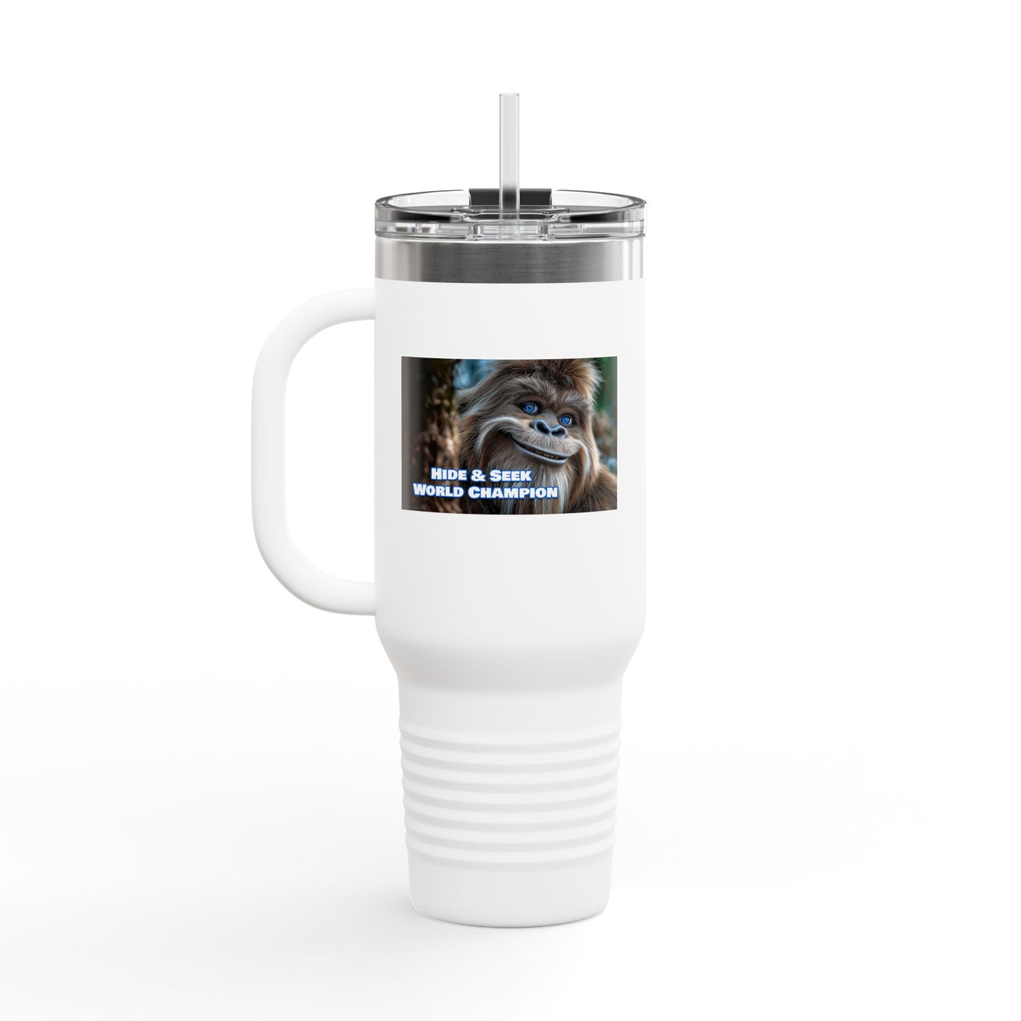 Hide & Seek World Champion