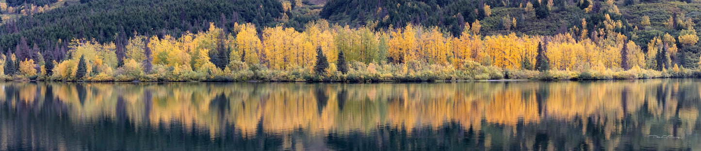 Autumn Reflections
