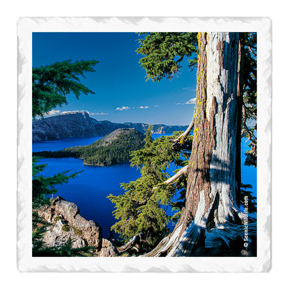 Oregon Thirstystone® Coaster Set