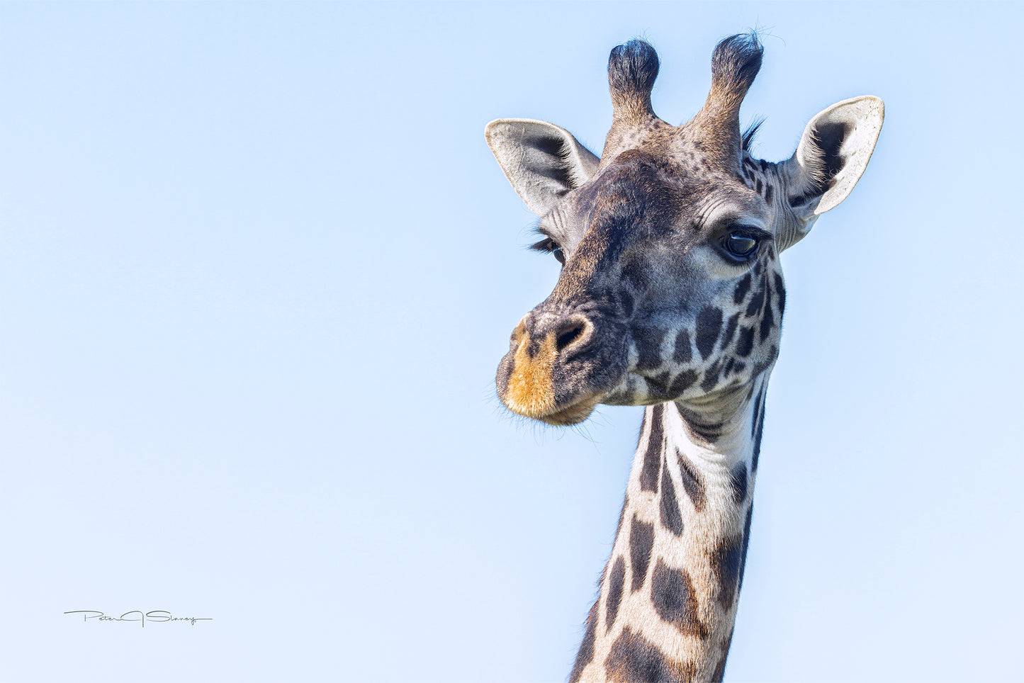 Eyes Over Africa
