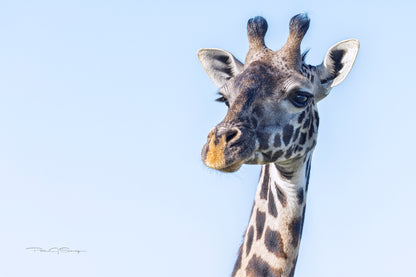 Eyes Over Africa
