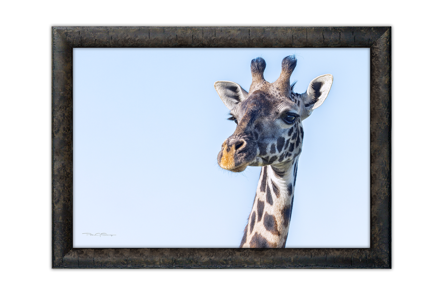 Eyes Over Africa