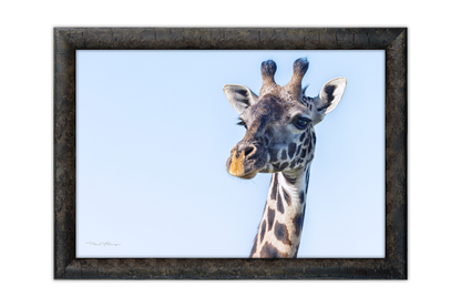Eyes Over Africa