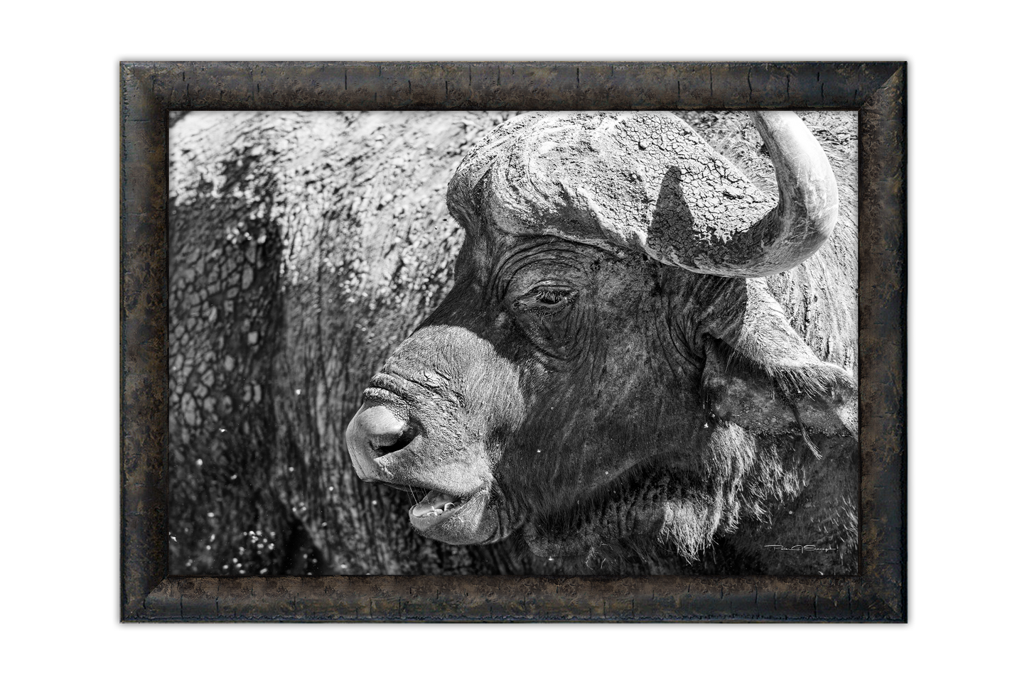 Forged by the Savanna