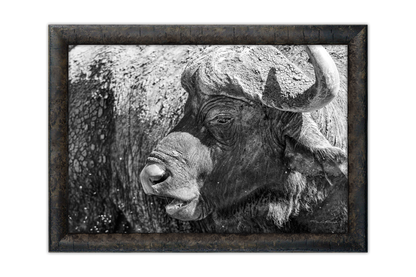Forged by the Savanna