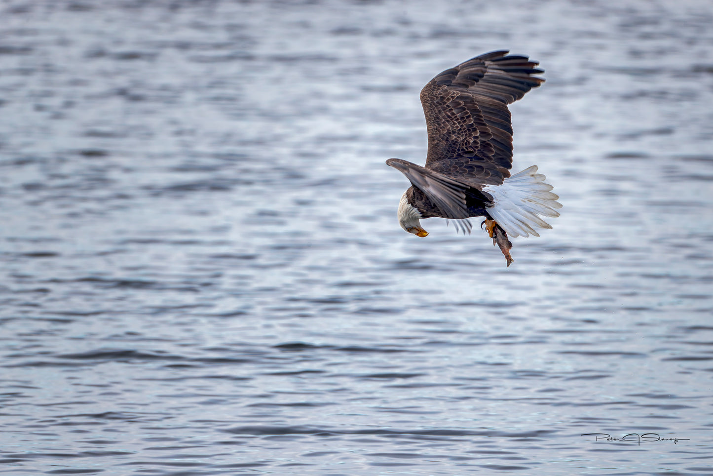 Graceful Catch