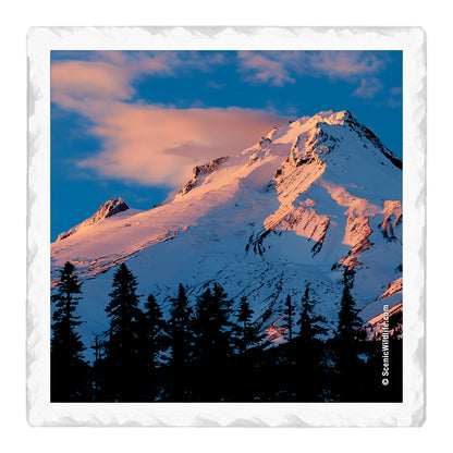 Oregon Thirstystone® Coaster Set