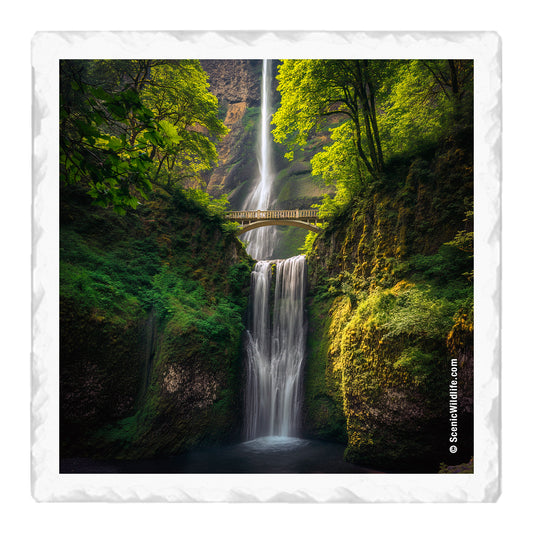 Oregon Thirstystone® Coaster Set
