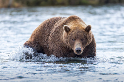 River Hunter