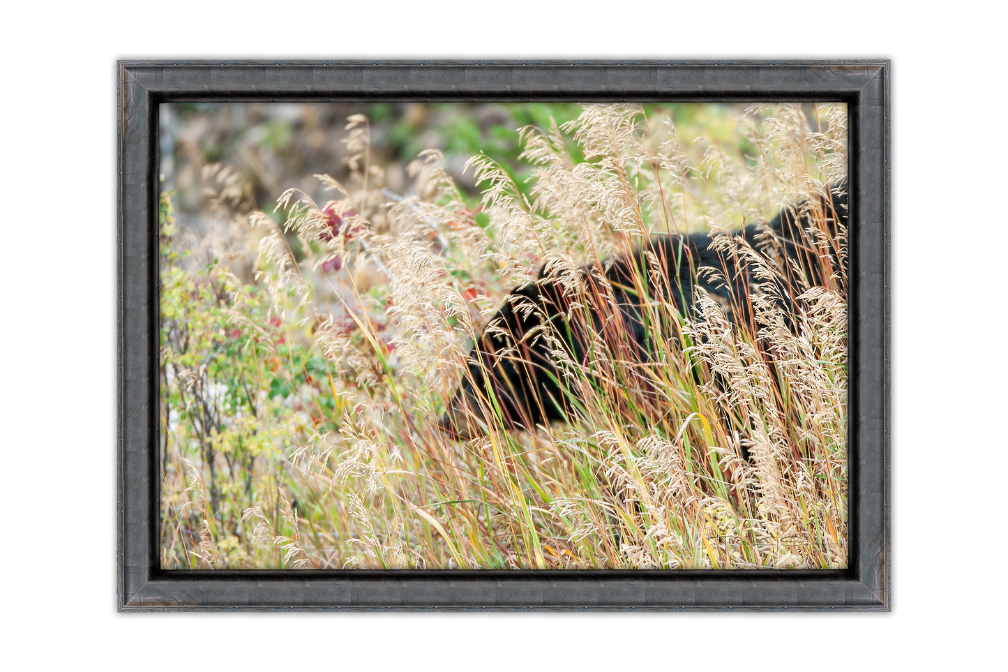 Where The Grass Whispers