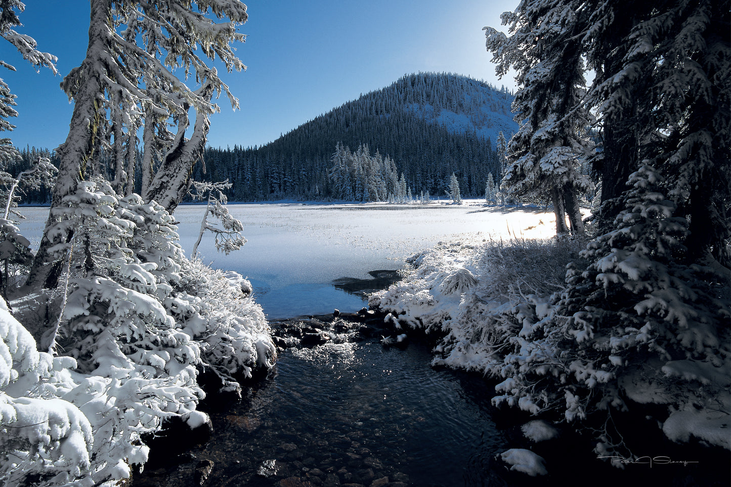 Winter Embrace