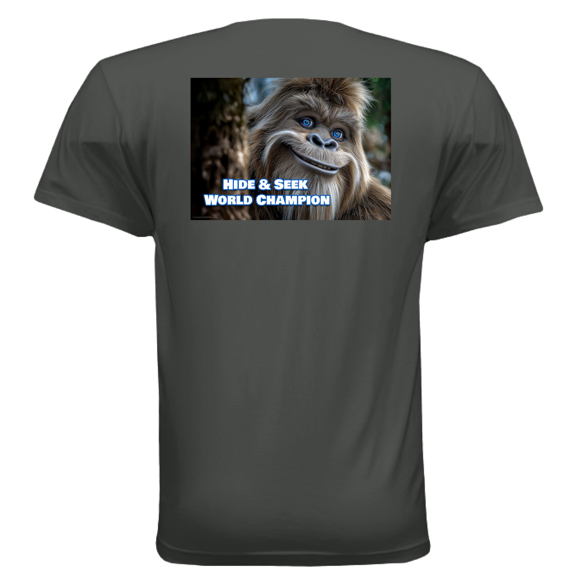 Graphite Black - BACK