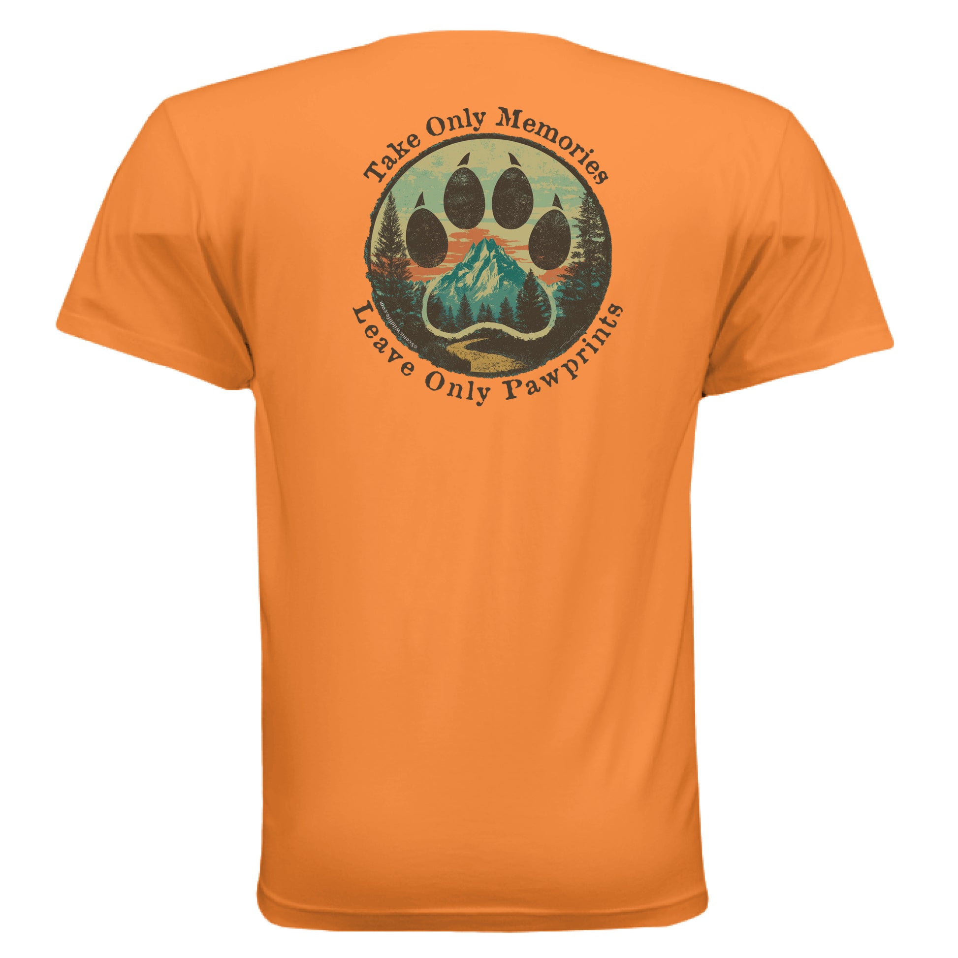 CLASSIC ORANGE - BACK