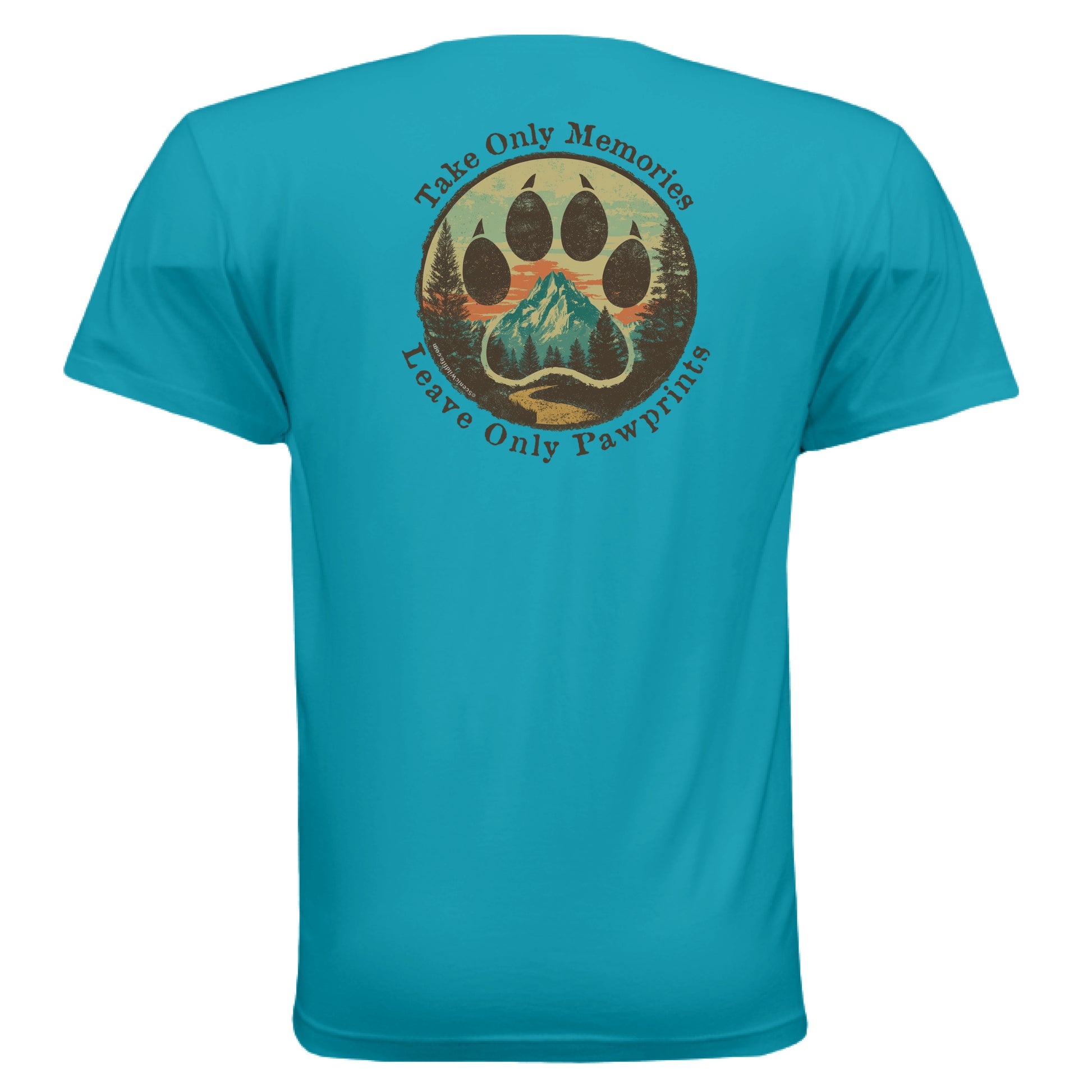 Teal - BACK