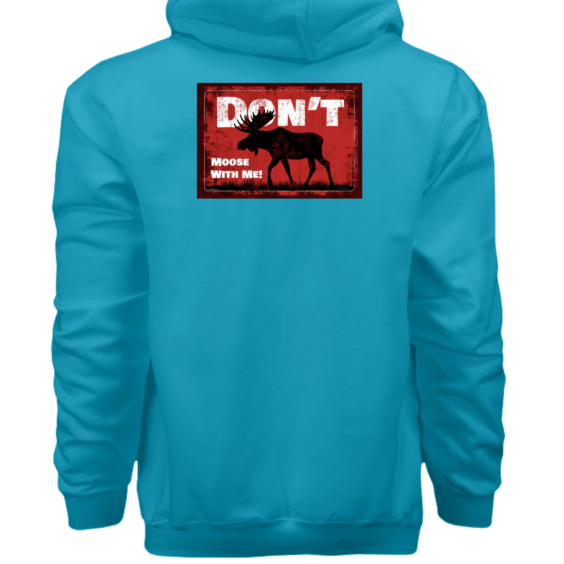 Teal - F170 - BACK
