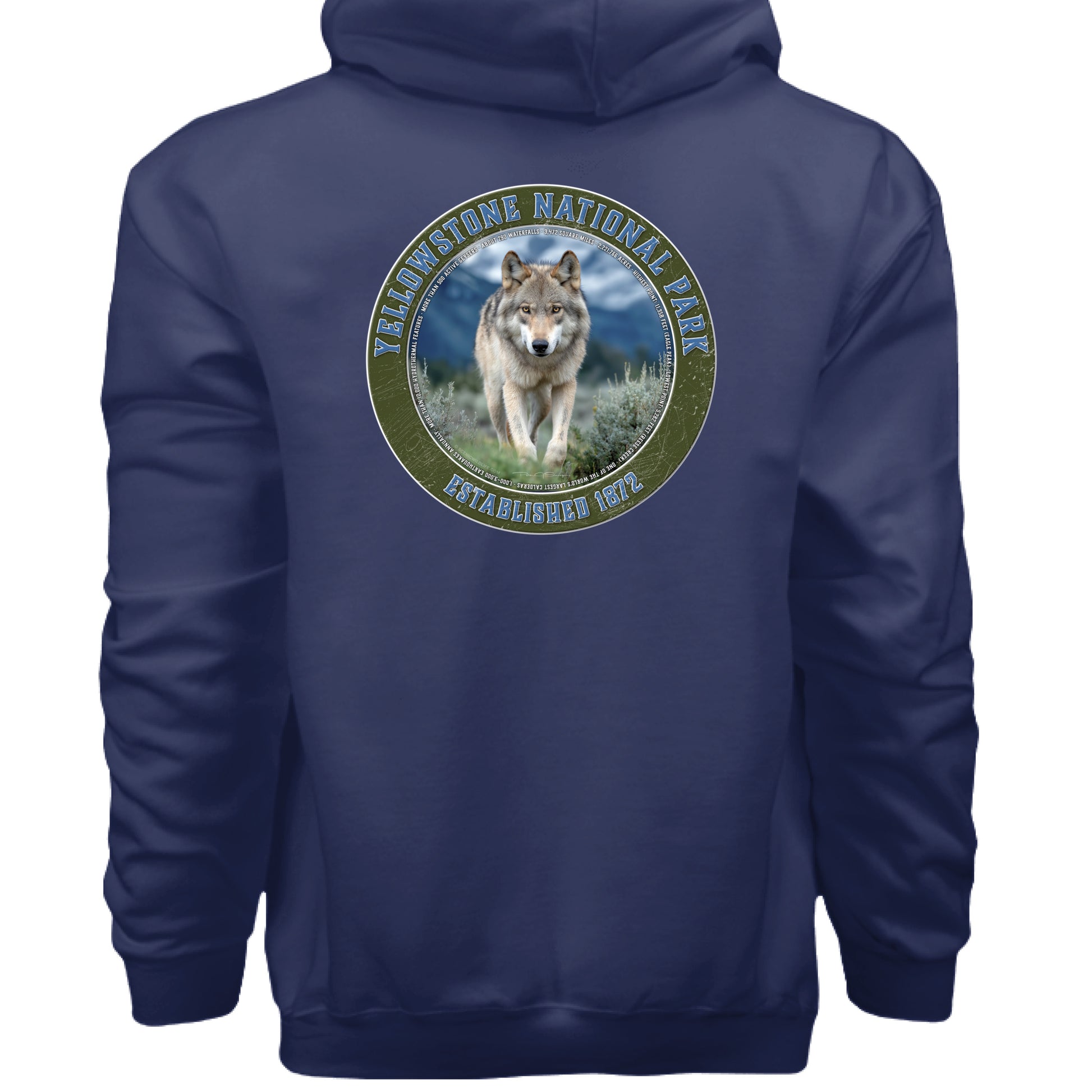 NAVY - BACK