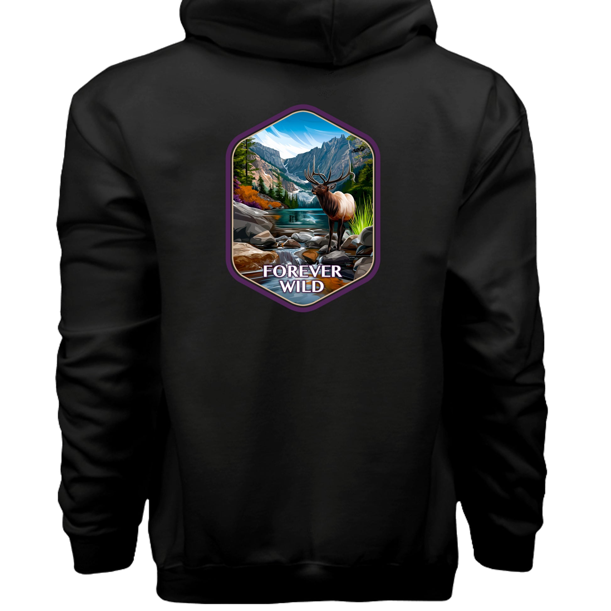 BLACK - F170 - BACK