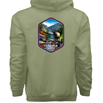 Oregano - F170 - BACK