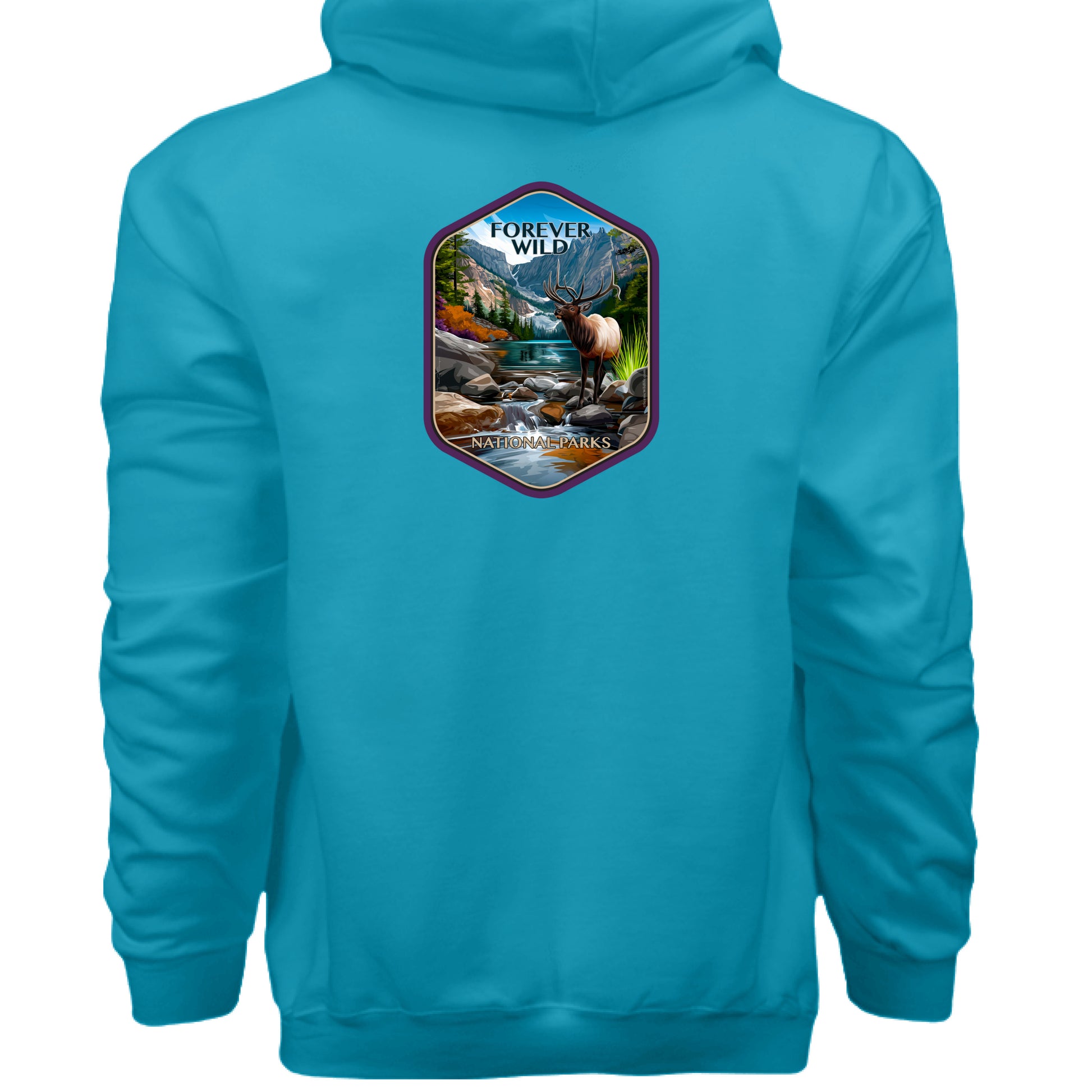 Teal - BACK