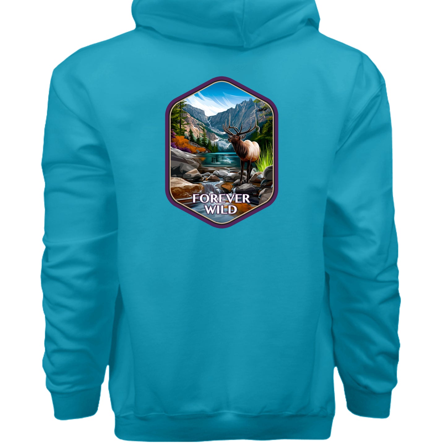 Teal - F170 - BACK
