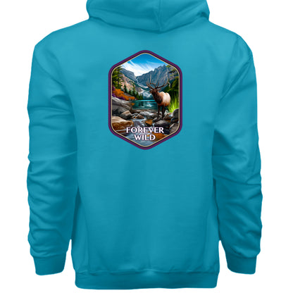 Teal - F170 - BACK