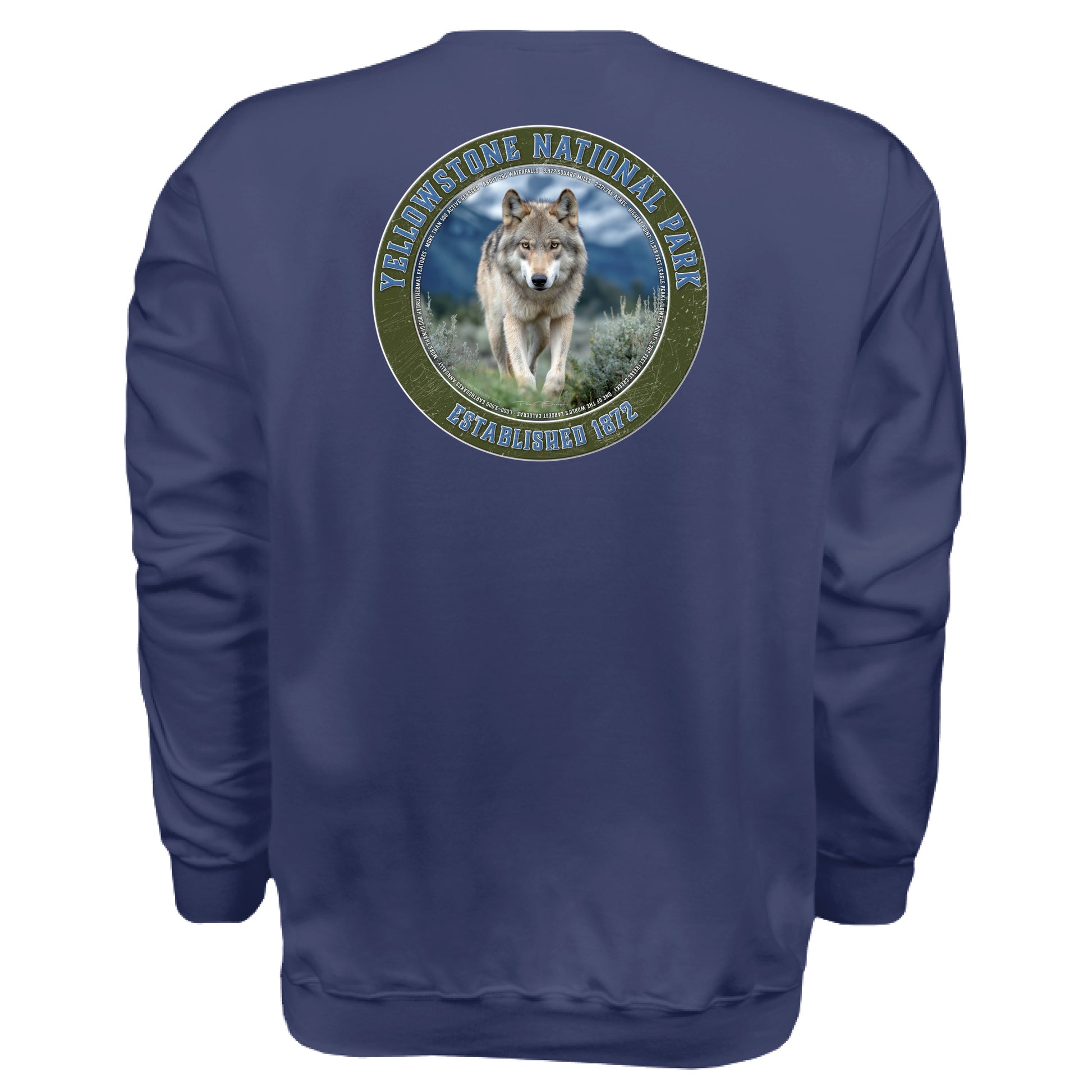 NAVY - BACK