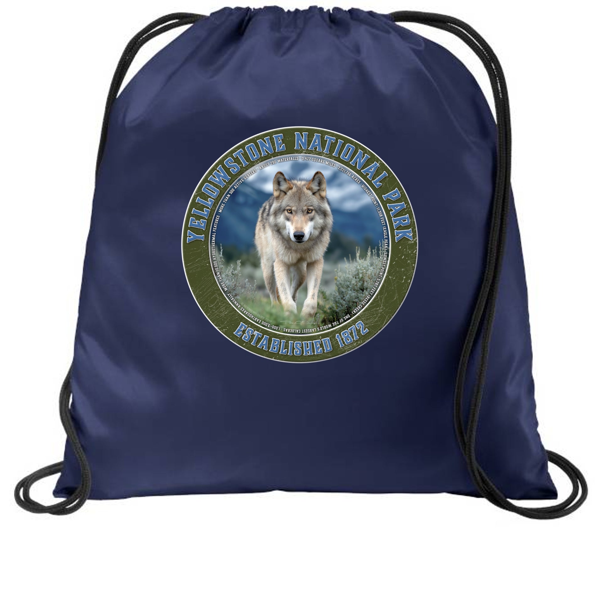 True Navy - BG615 - FRONT