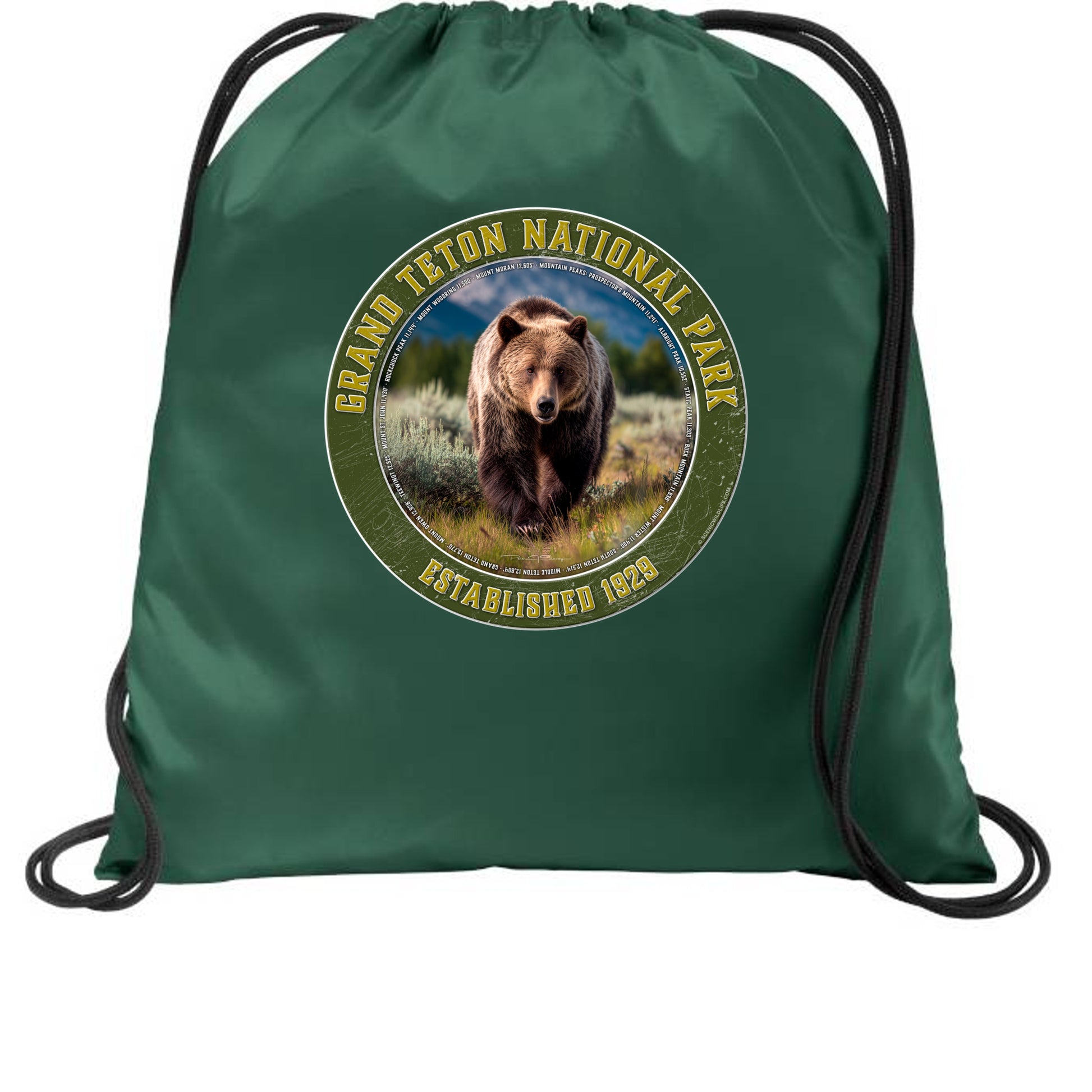 Forest Green - BG615 - FRONT