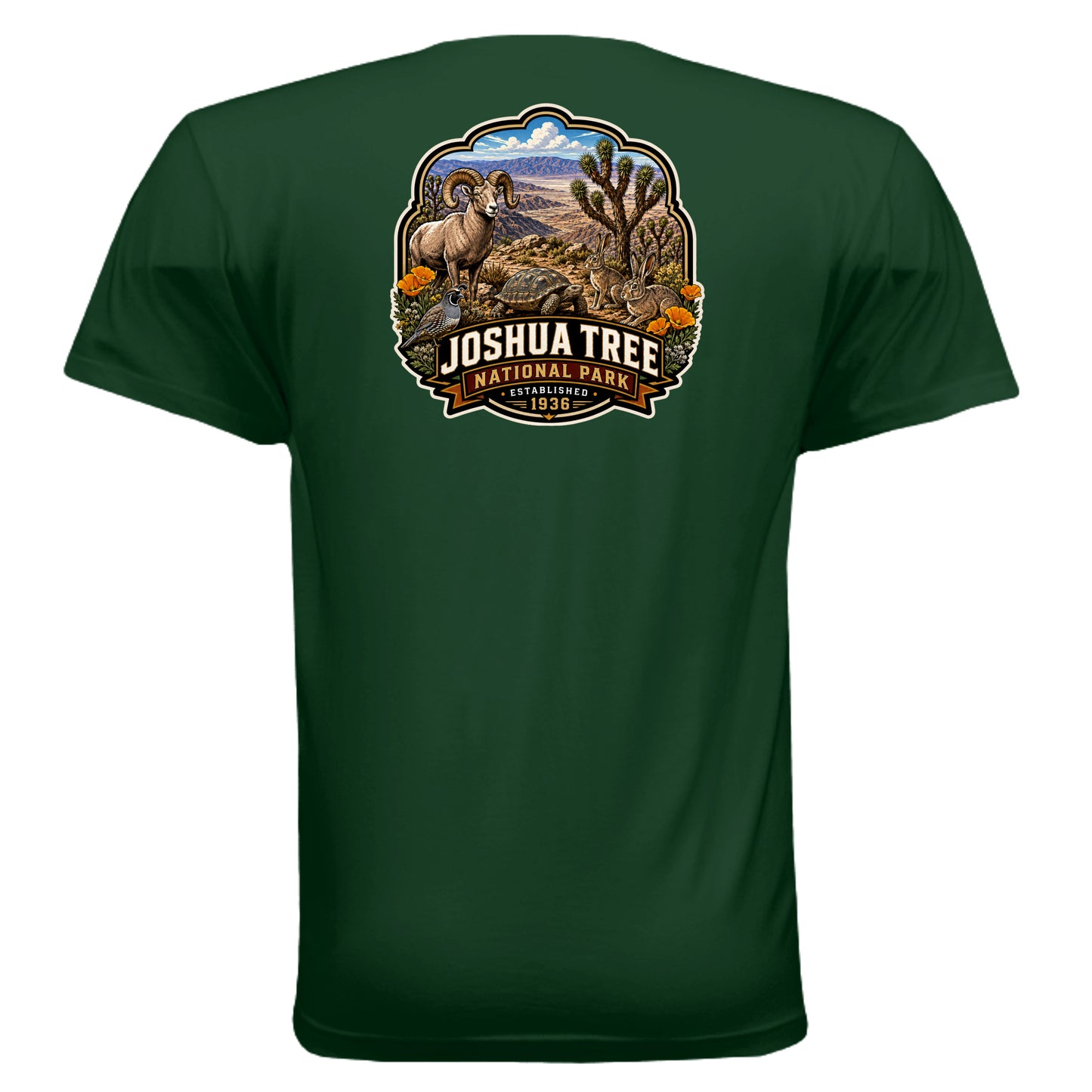 FOREST GREEN - 3600 - BACK