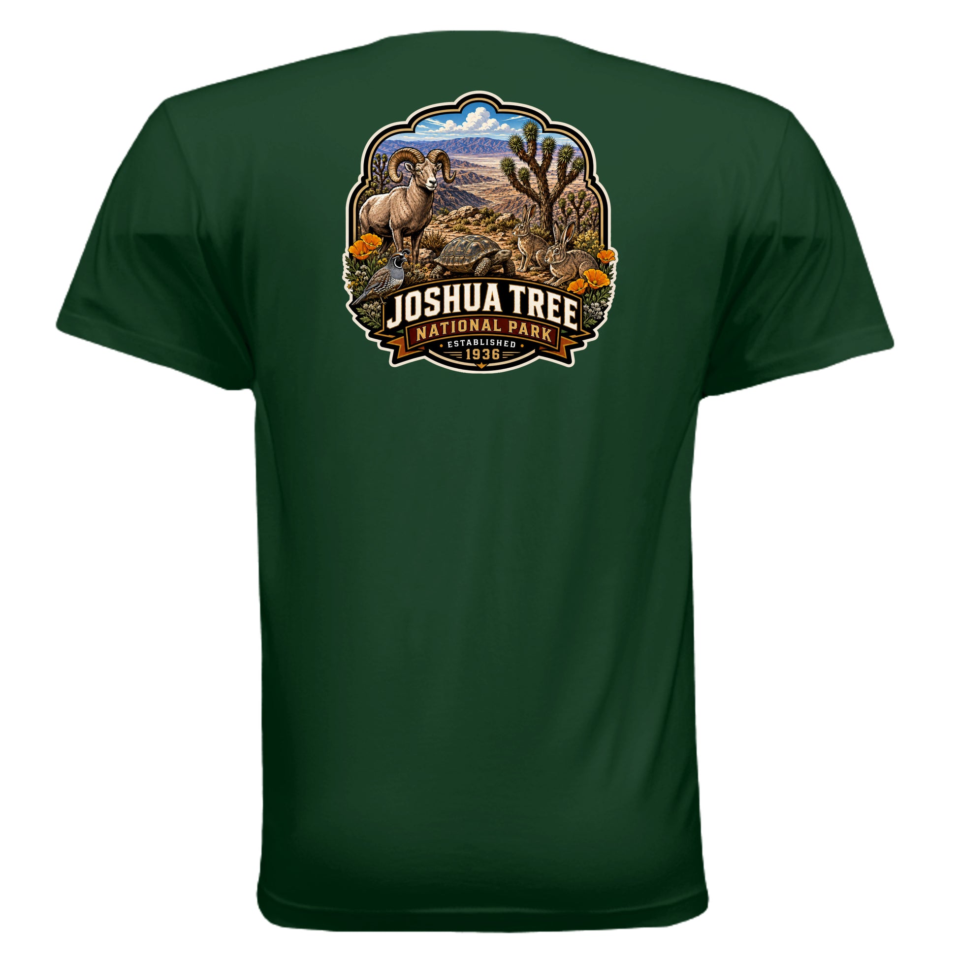 FOREST GREEN - 3600 - BACK