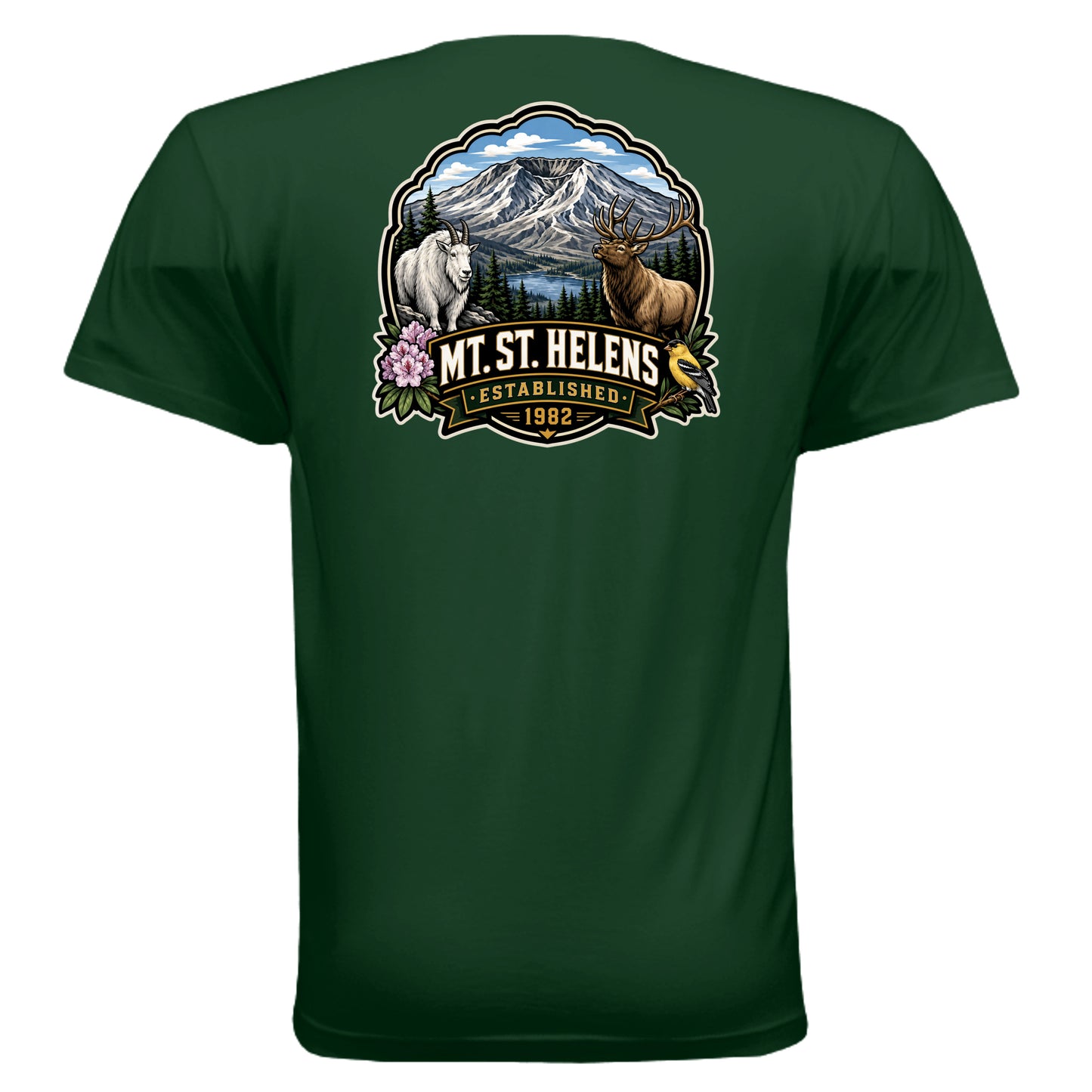 FOREST GREEN - 3600 - BACK