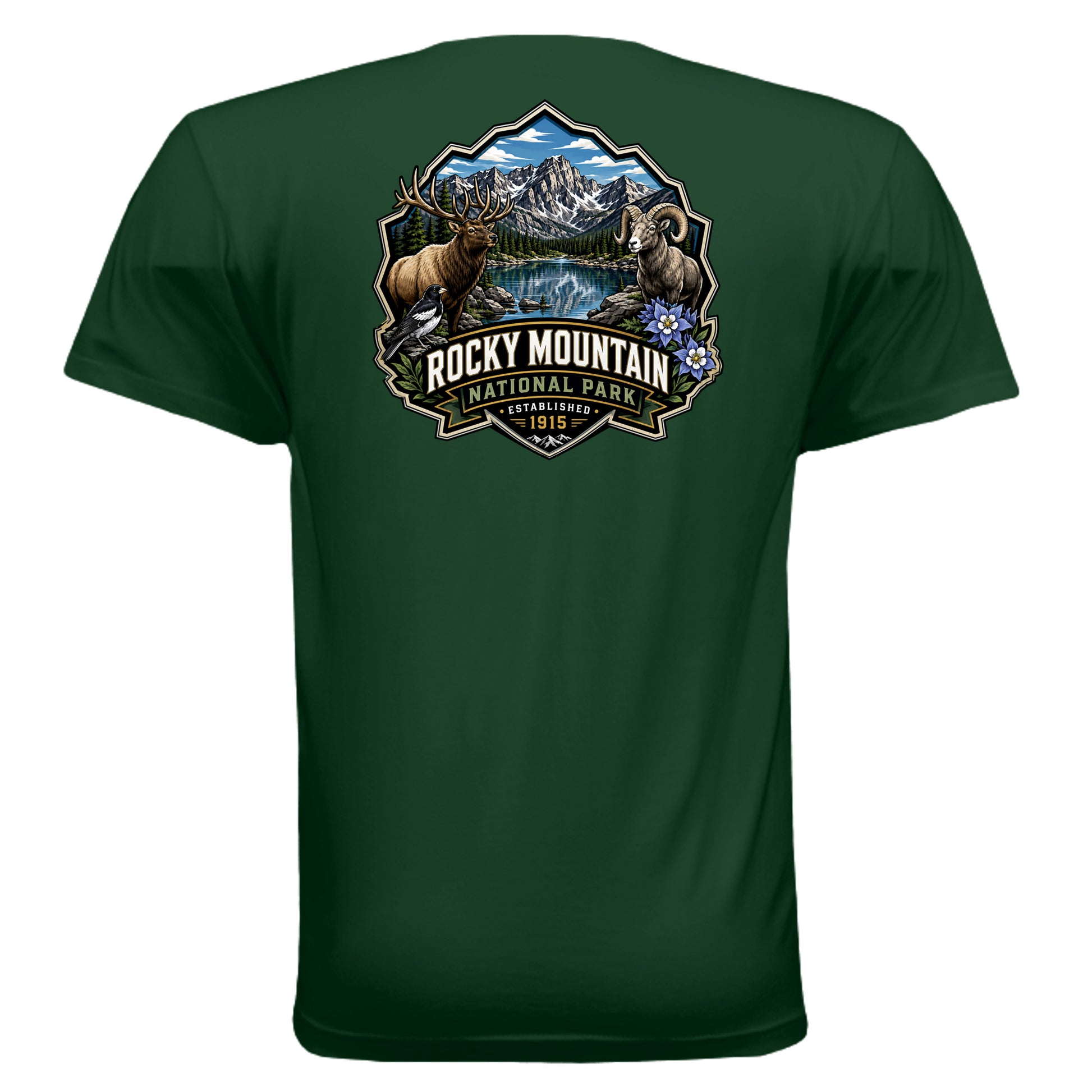 FOREST GREEN - 3600 - BACK