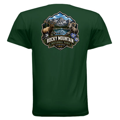 FOREST GREEN - 3600 - BACK