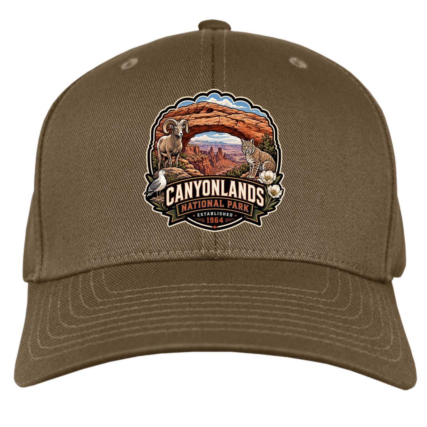 BROWN - 6277 - FRONT