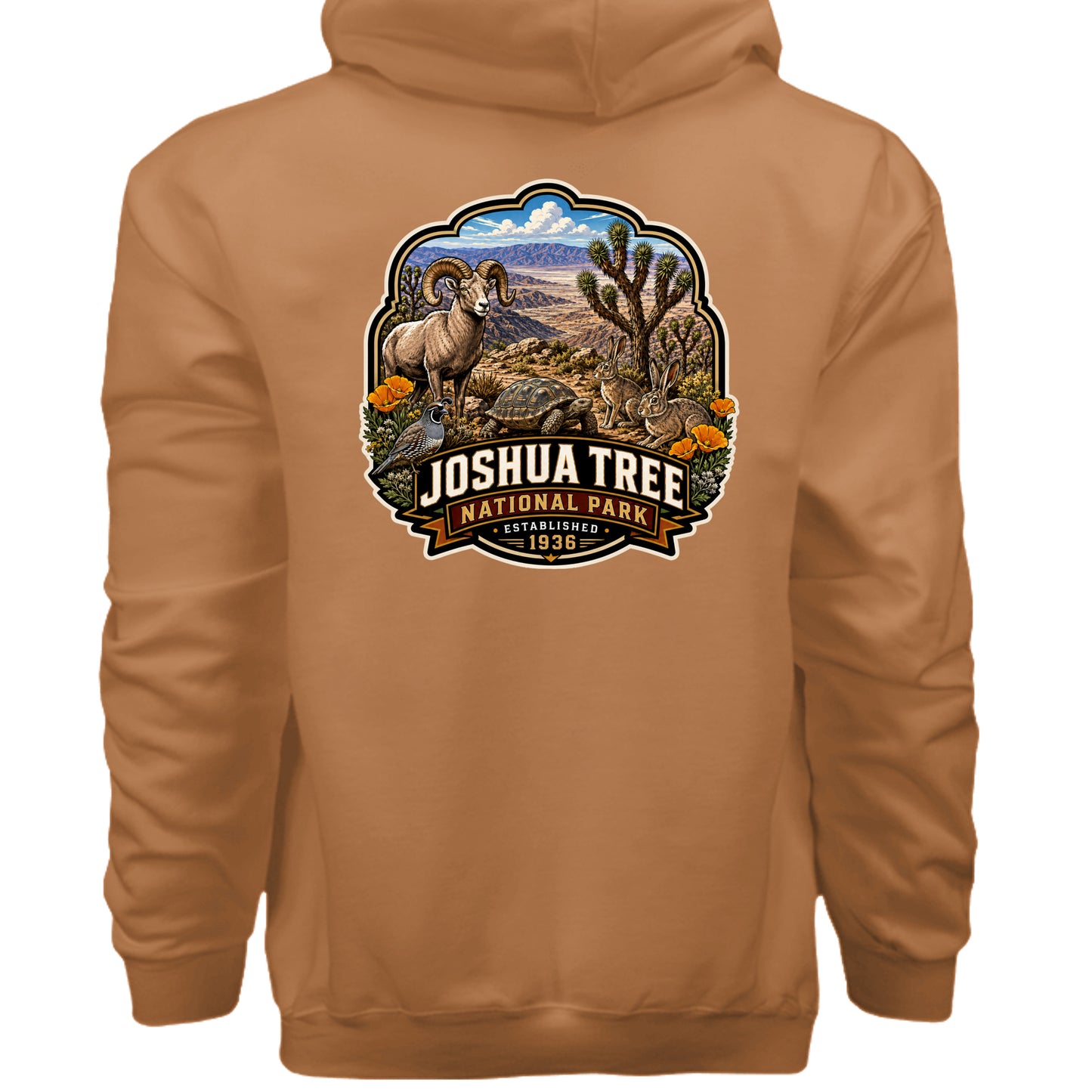 Pumpkin - F170 - BACK