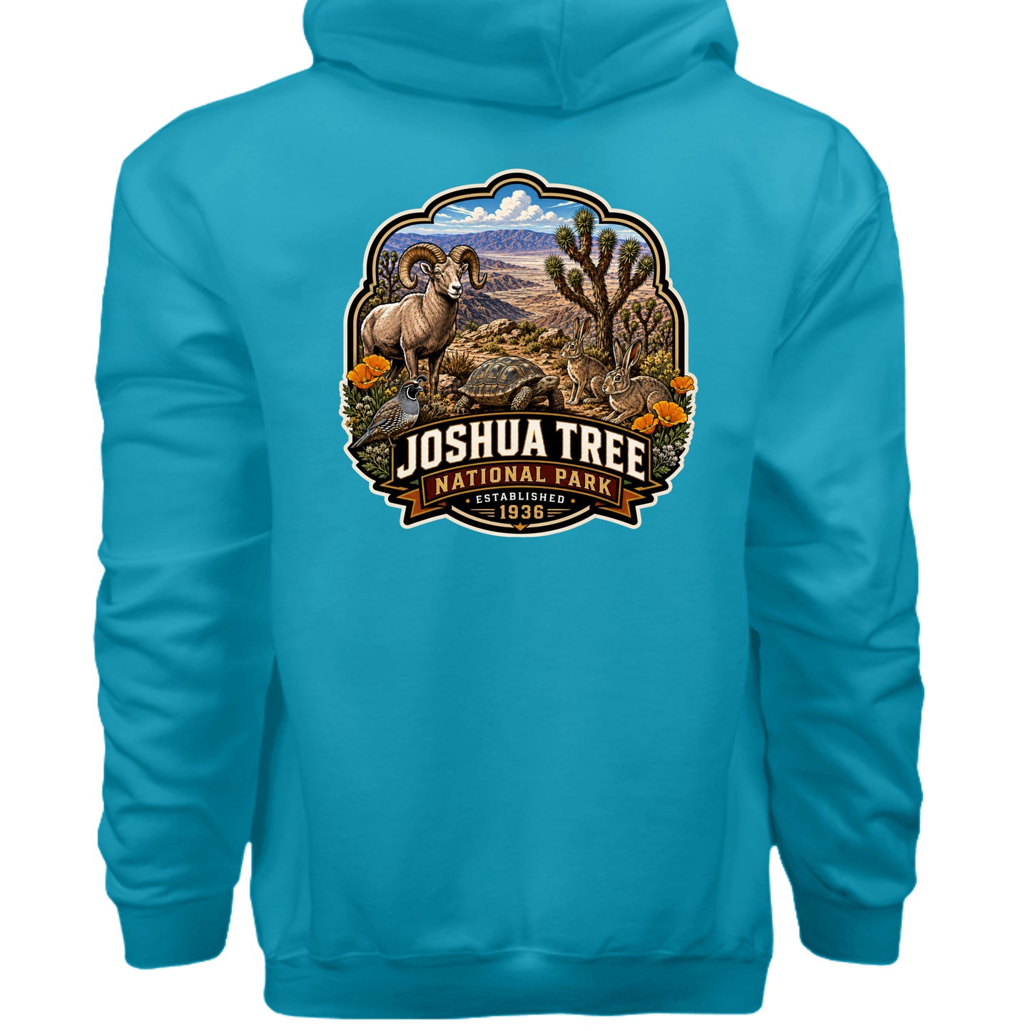 Teal - F170 - BACK