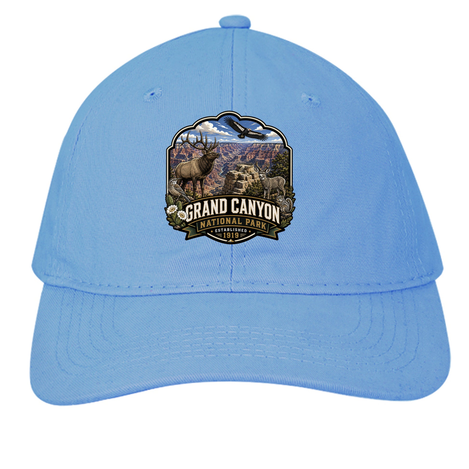 Carolina Blue - CP77 - FRONT
